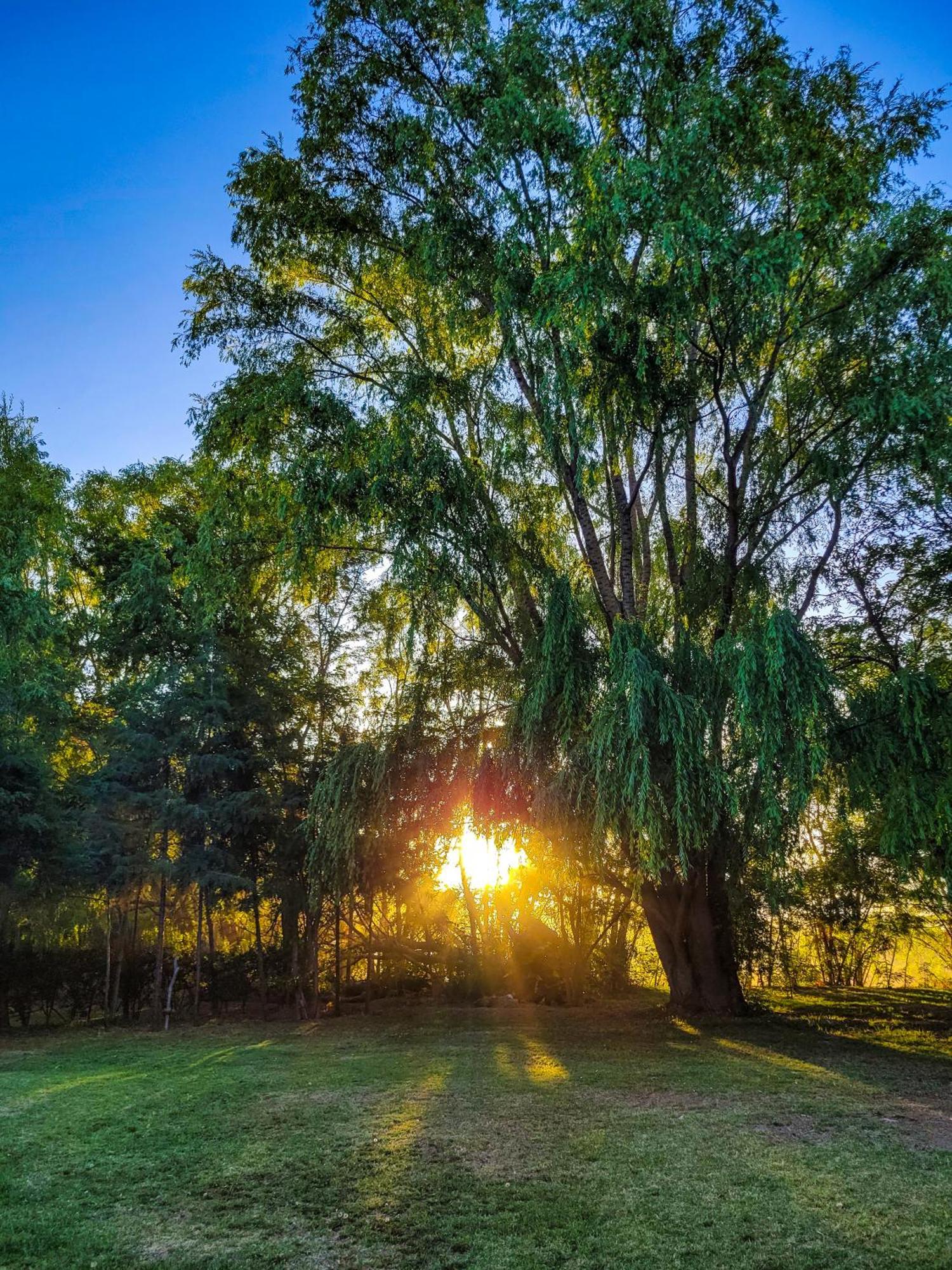 Finca La Saucina Casa De Campo Тунуян Екстер'єр фото